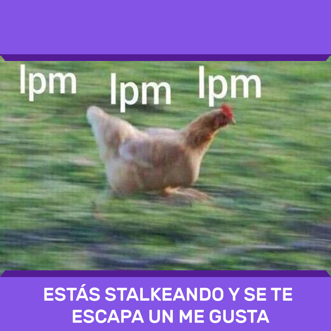 Como stalkeo al chico que me gusta