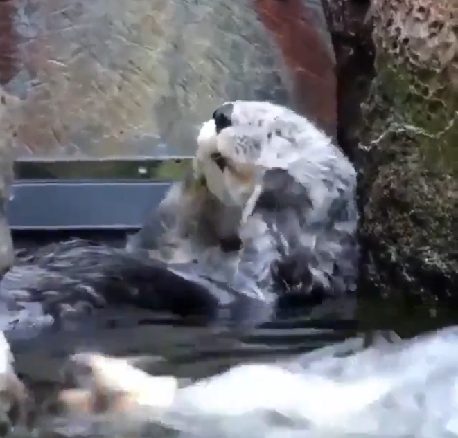 Cuando me desmaquillo borracha