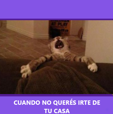 Nuuu