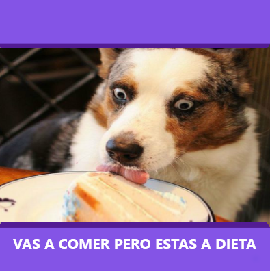 La culpa