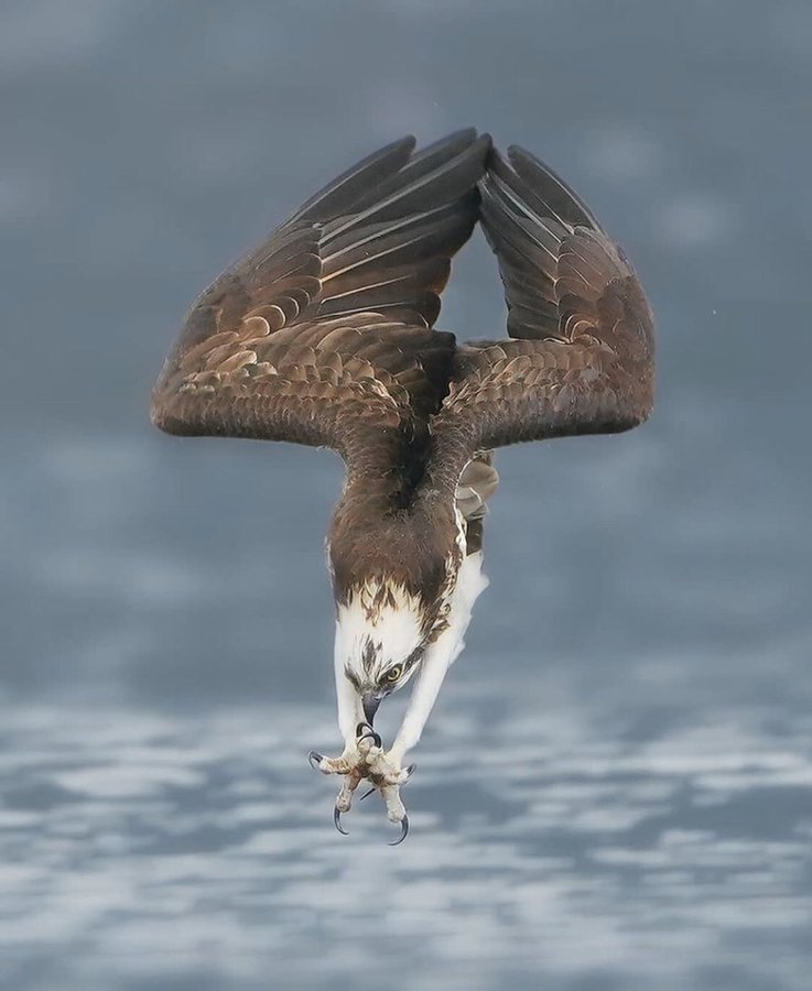 Las divertidas respuestas a esta impresionante foto