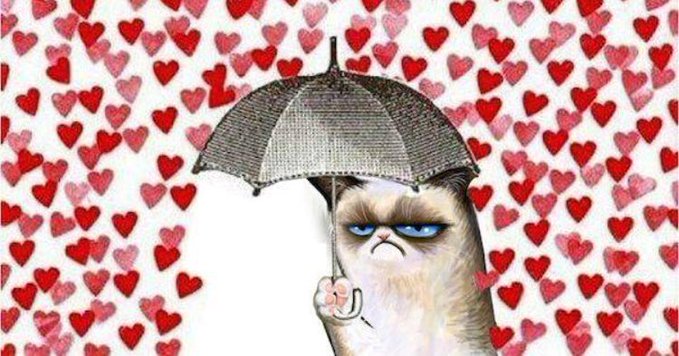 Algunas personas expresan su sentir en San Valentín con memes