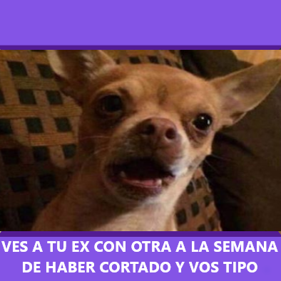 Maldito bastardo