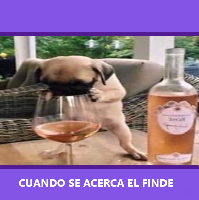 Finde largo be like