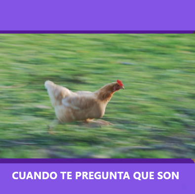 Nada, nada
