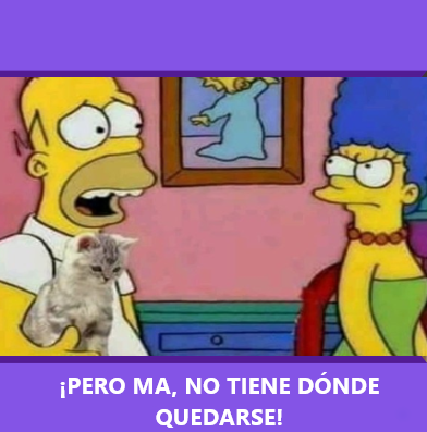 Yo en la vida