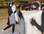 Katy Perry huye de Australia tras estar en cuarentena en un hotel por orden de su disquera