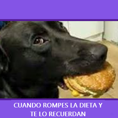 Dije que empezaba el lunes…