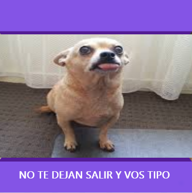También necesito vida social