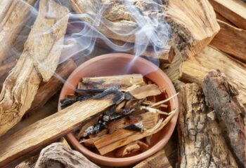 Armonía, paz y tranquilidad que ofrece el Palo Santo: la madera espiritual y sanadora