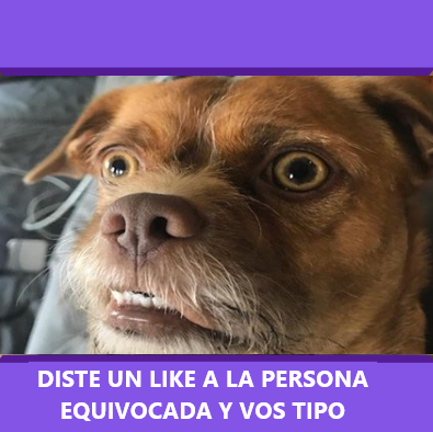 Amor en tiempos de redes