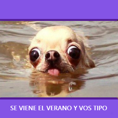 Hasta el cuello