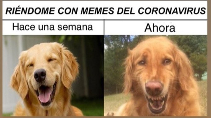 Riéndome con memes del coronavirus