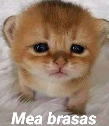 Yo cuando vea a mis amigos luego de la cuarentena