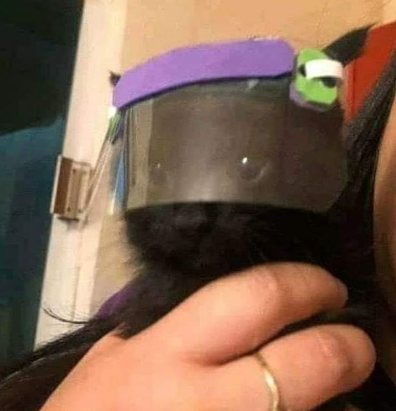 Cuando te piden que protejas a los que más amas