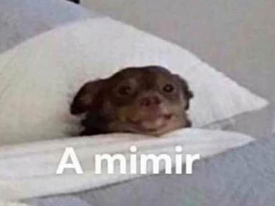 Yo cada vez que empiezo una película