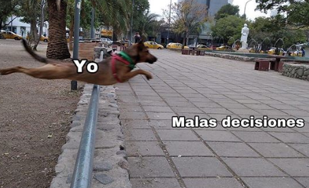 Así año por año