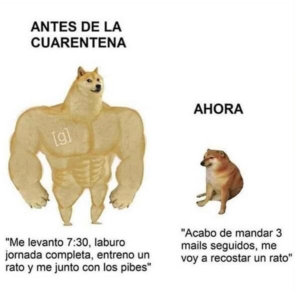 Yo antes y durante la cuarentena