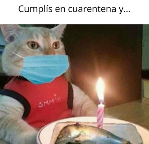 Esperando que no me toque