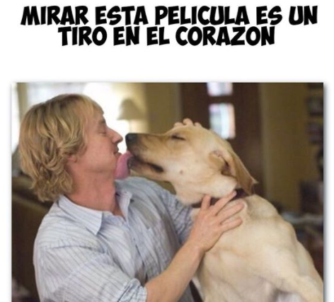 Para un día depre