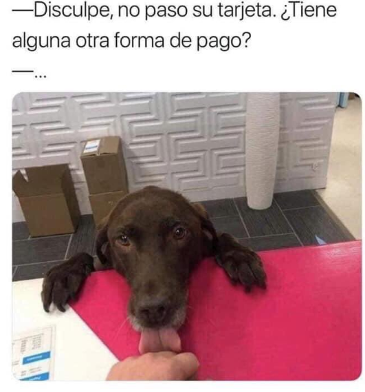 Amor también vale