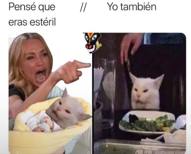 Me dijiste que eras estéril…
