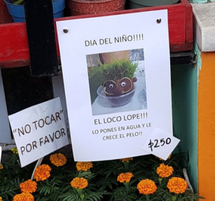Volvió!