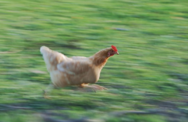 Cuando te pregunta si son novios