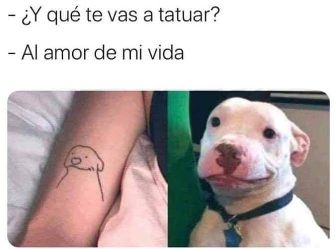 Nunca me arrepentiré