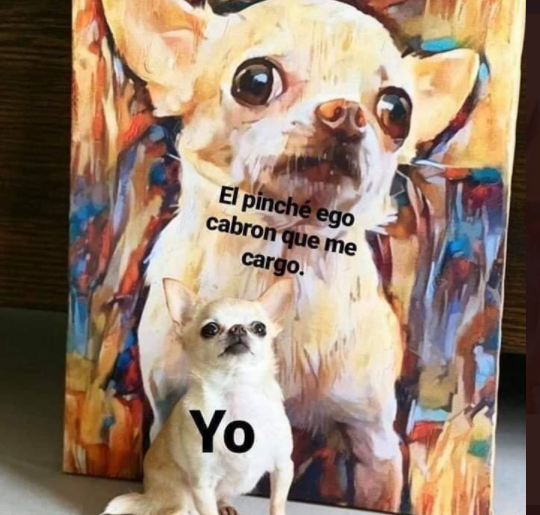 Ya volverás cansado