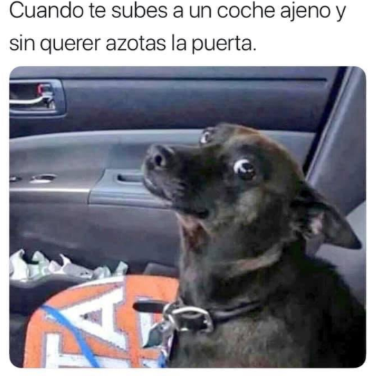 Perdone