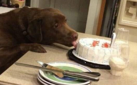 Cuando te dejan a cargo del pastel