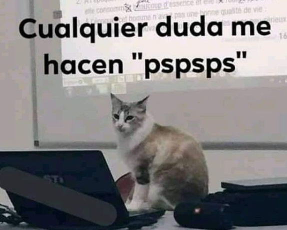 Profe michi