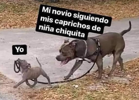 Si tuviera uno