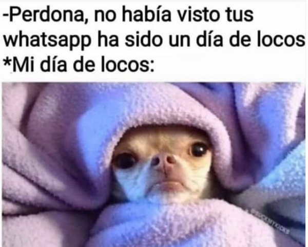 Estoy cansadito