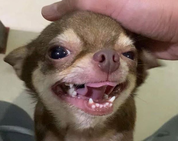 Cuando me saluda el que me gusta