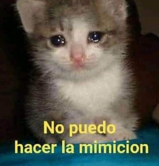 El fin de año