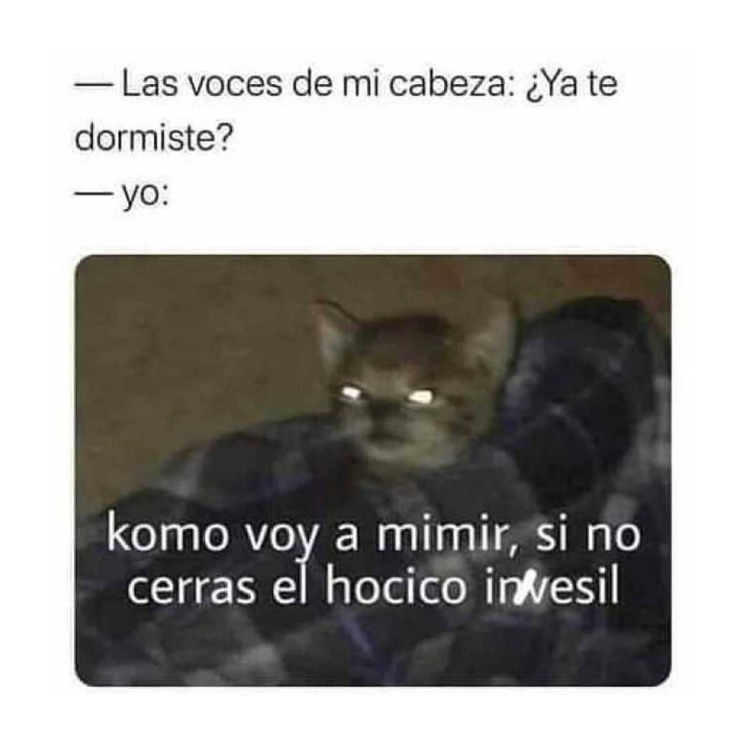 Cállate de una vez que quiero dormir…