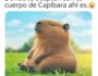 Sexy capibara