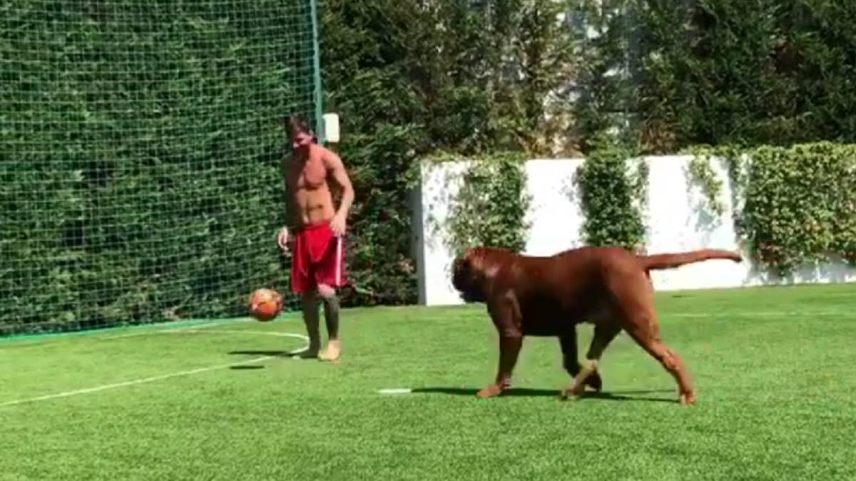 ¡Humilla hasta a su perro! Messi se entretiene con su mascota