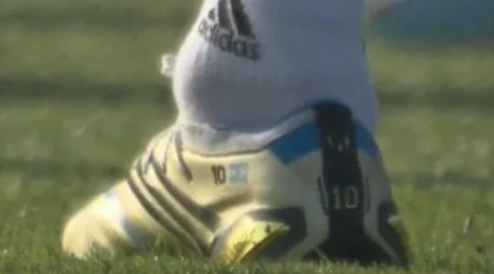 Las imágenes que preocupan a Argentina