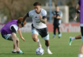 La Selección Argentina vuelve a entrenarse antes de Bolivia: así continúa la agenda