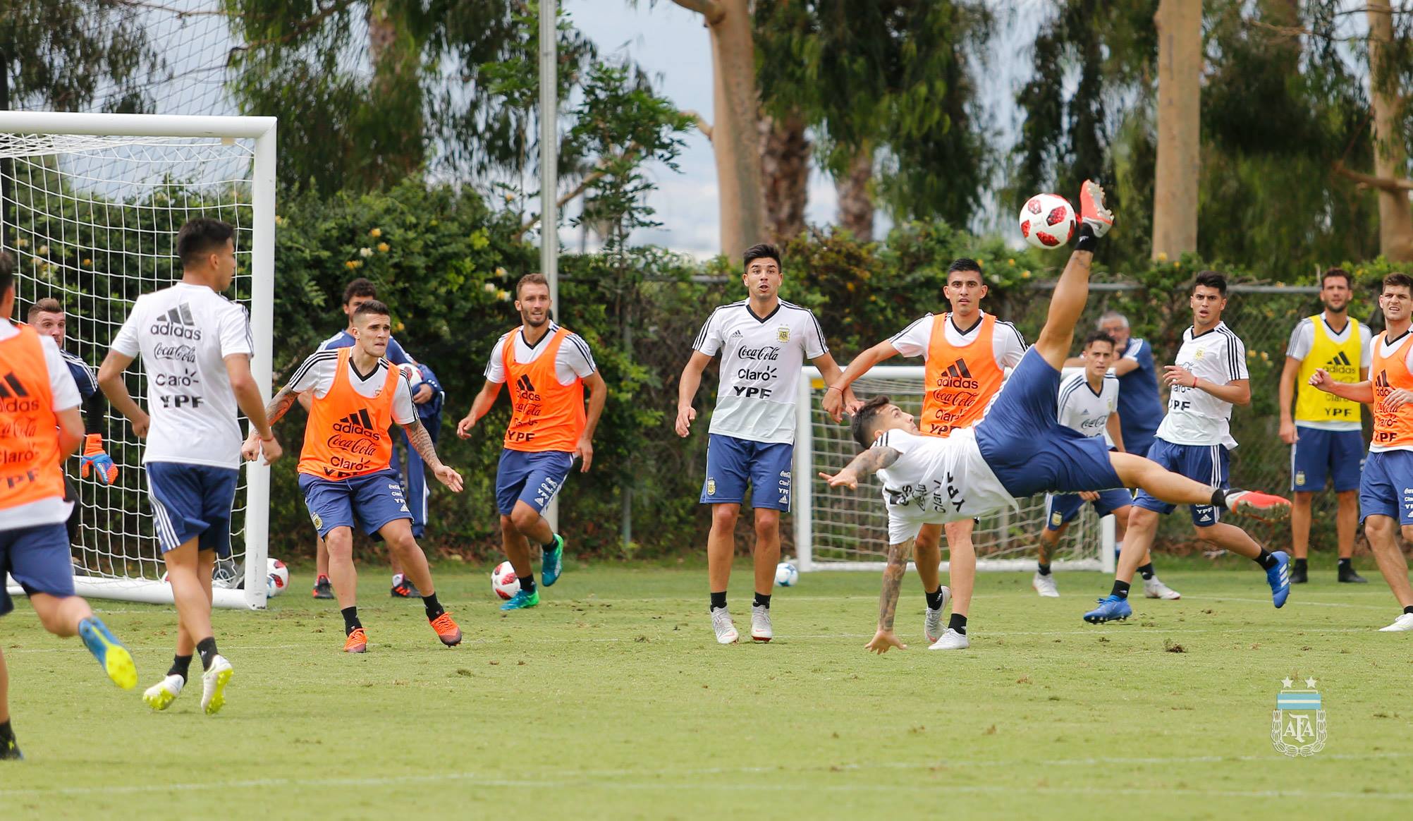 Mañana comienza oficialmente la nueva camada Argentina