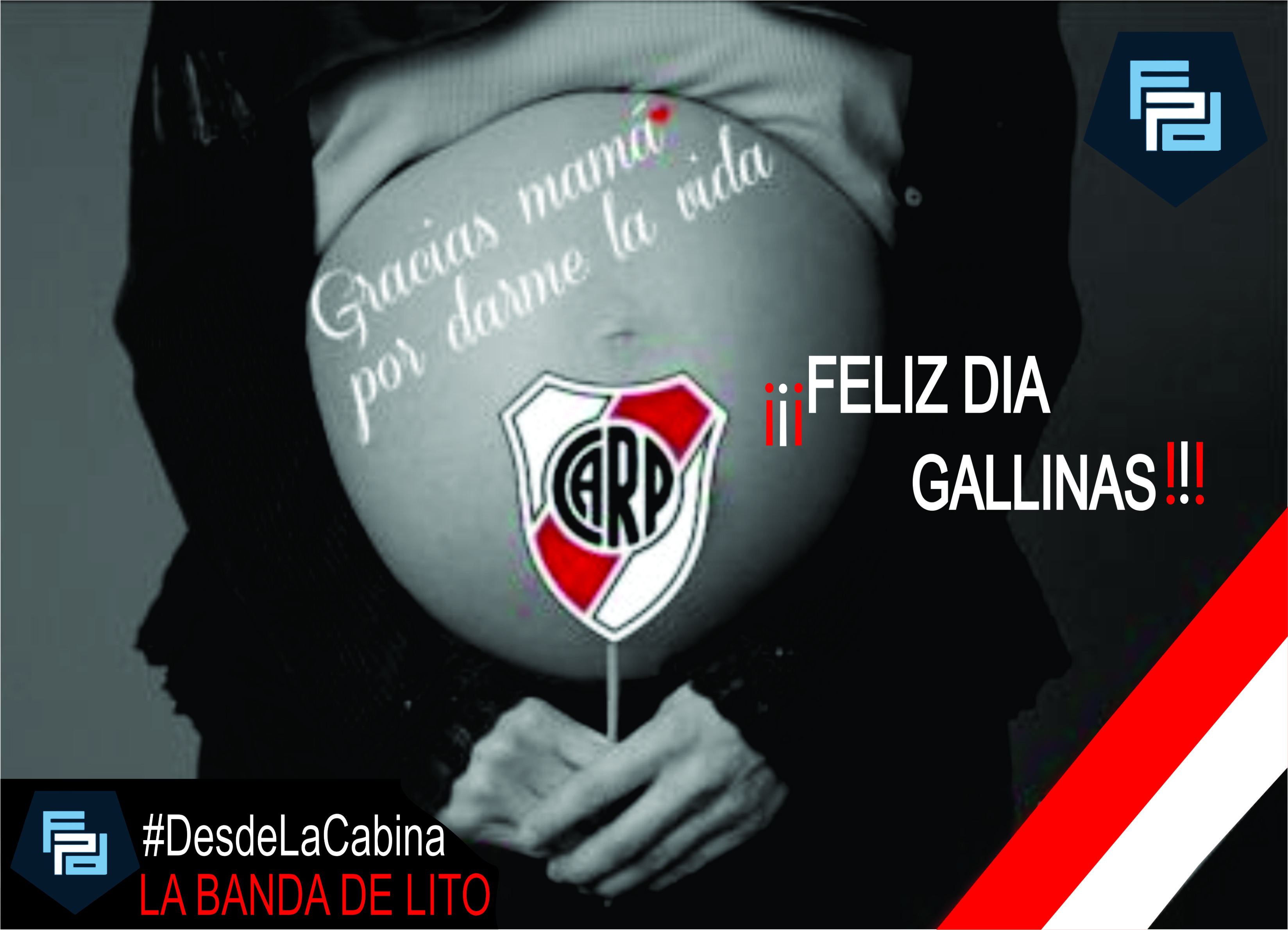 ¡Feliz día Mamás gallinas!