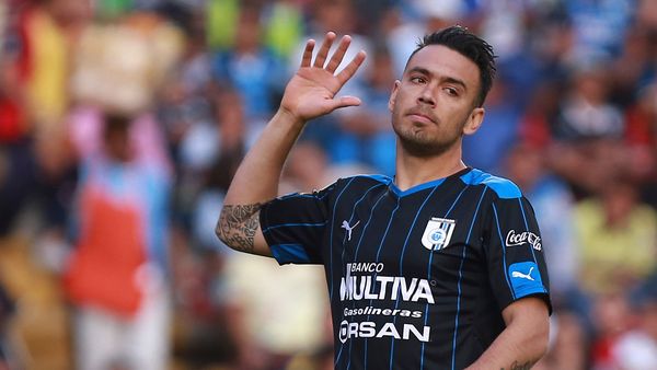 Holan tiene su primer refuerzo