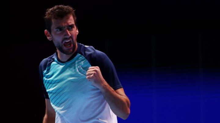 Cilic se impuso en cuartos de Singapur